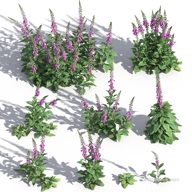 Lush Green Leafy Plants With Purple Flowers In Multiple Clusters 3d model 