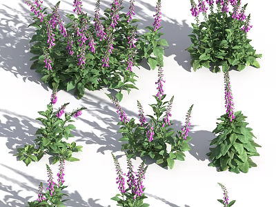 Lush Green Leafy Plants With Purple Flowers In Multiple Clusters 3d model