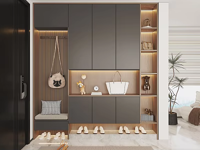 Modern Shoe Cabinet Interior Design With Wooden Accents Decorative Shelves And Bench 3d model