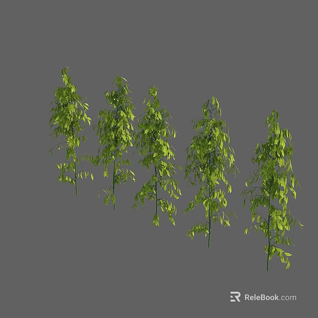 Five Lush Green Bushes with Dense Foliage Standing Against Gray Background 3d model 