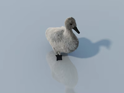 Animal character sketch 3d model