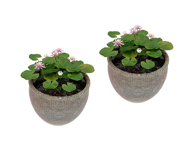 Bonsai Potted Plants Featuring Pink Flowers And Green Leaves In Gray Pots 3d model