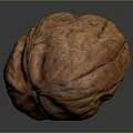 Close Up Of Single Whole Brown Walnut With Textured Surface On Gray Background