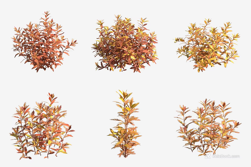 Six Aquatic Plants With Orange Red And Yellow Leaves In Various Growth Forms 3d model 