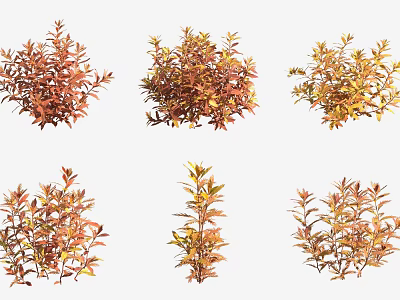 Six Aquatic Plants With Orange Red And Yellow Leaves In Various Growth Forms 3d model