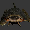 Unique Aquatic Animal With Large Open Mouth Rough Dark Skin And Distinct Fins