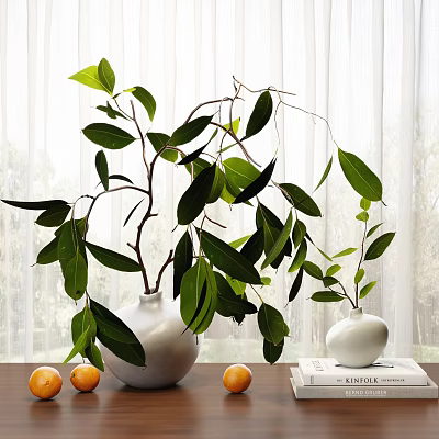 Bonsai Plant with Lush Green Leaves in White Vase and Oranges on Table 3d model