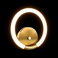 Modern Gold Ring Shaped Ceiling Light With Bright LED Luminous Design 3d model