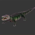 Green Crocodile With Open Mouth And Textured Skin Standing On Dark Surface