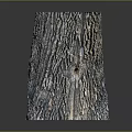 Natural Wooden Stump Decorative Vase With Bark Texture And Crafted Design