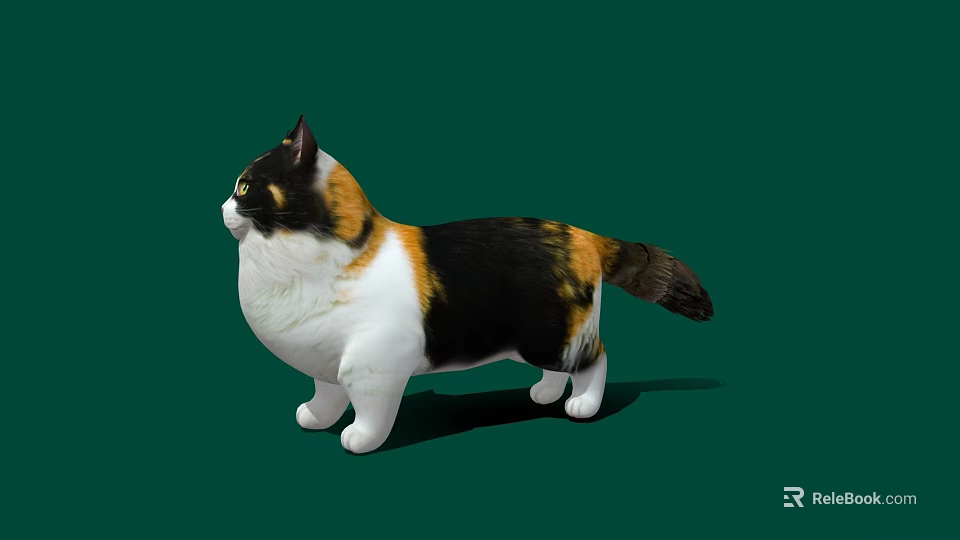 Realistic Calico Cat With White Black Brown Fur Standing On Green Background 3d model 