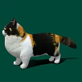 Realistic Calico Cat With White Black Brown Fur Standing On Green Background
