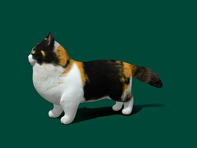 Realistic Calico Cat With White Black Brown Fur Standing On Green Background 3d model