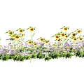 Bright Sunlit Sunflowers And Purple Flowers In Green Grass Field