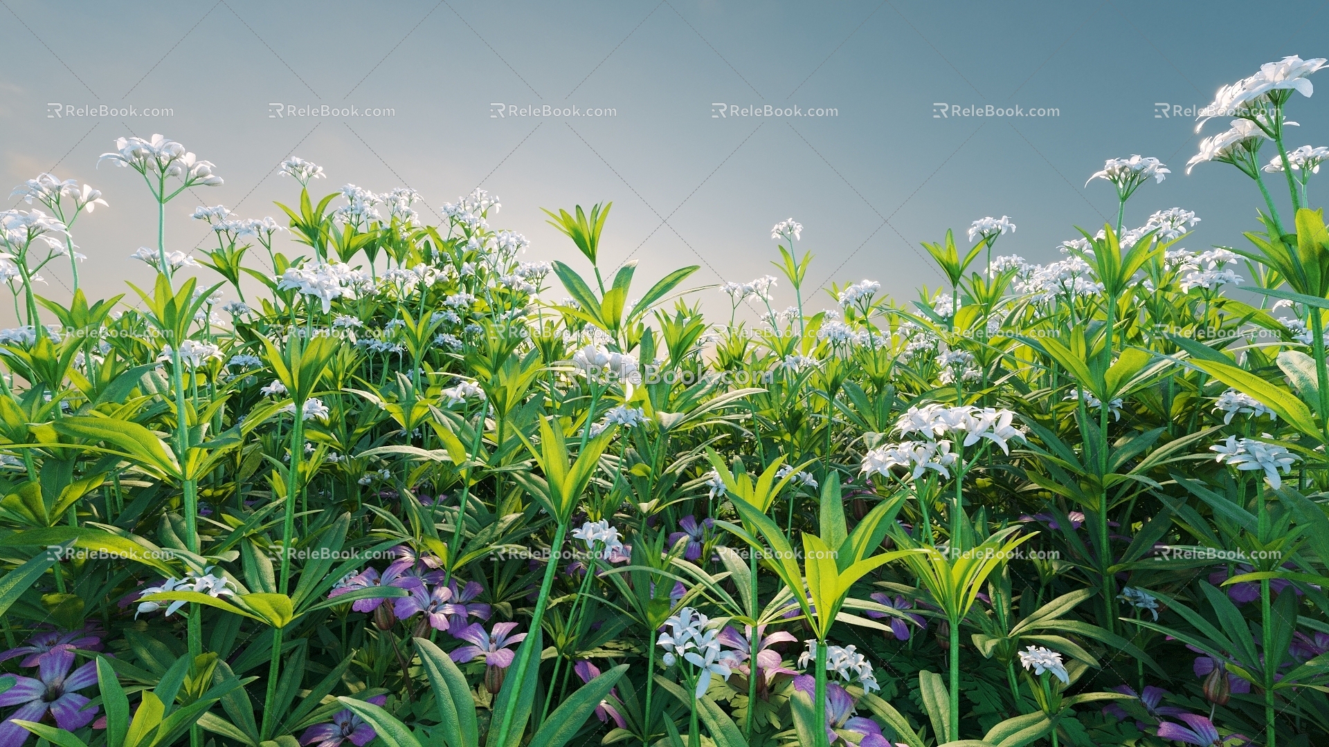 Flowers and Plants Combination Landscape Shrubs Shrubs Plant Combination Natural Landscape 3d model