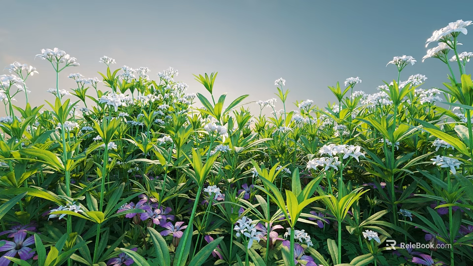 Beautiful Flower Meadow With White Purple Blooms Green Leaves And Blue Sky 3d model 