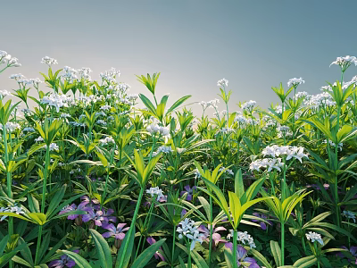 Beautiful Flower Meadow With White Purple Blooms Green Leaves And Blue Sky 3d model