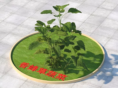 Urban Road Facilities Featuring Circular Green Lawn And Butterfly Weed Vegetable Plants 3d model