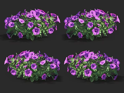 Vibrant Purple Flowers With Green Leaves In Potted Arrangement 3d model