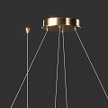 Modern Circular Chandelier With LED Lights And Metal Frame Design