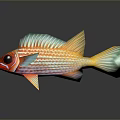 Vibrant Tropical Fish With Red Orange Stripes Blue Fins And Large Eyes