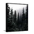 Serene Misty Forest Landscape Painting Featuring Tall Pine Trees And Dense Greenery