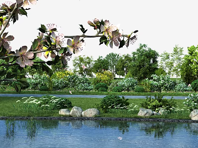 Flowering Shrubs in Garden Landscape with Pond Stones Grass and Trees 3d model