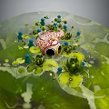 Cartoon Scene with Red White Fish Lily Pads and Blue Aquatic Plants in Transparent Hemisphere