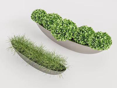Bonsai Potted Plants In Long And Oval Gray Containers With Grass And Round Green Foliage 3d model