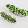 Bonsai Potted Plants In Long And Oval Gray Containers With Grass And Round Green Foliage