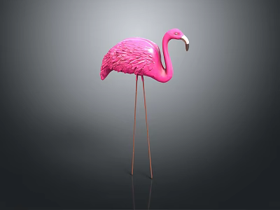 Pink Flamingo with Long Legs and Curved Neck Standing on Dark Background with Reflection 3d model