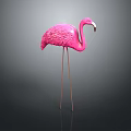 Pink Flamingo with Long Legs and Curved Neck Standing on Dark Background with Reflection