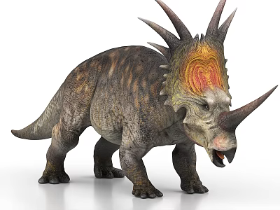 3D Rendered Triceratops Dinosaur With Textured Body And Colorful Frill Horns 3d model
