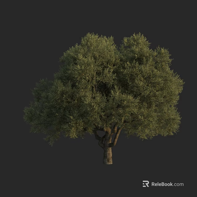Lush Green Arbor Tree With Dense Foliage And Strong Trunk Structure 3d model 