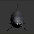 Detailed Silver Dolphin With Shiny Smooth Skin On Dark Reflective Surface