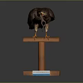 Stuffed Eagle Taxidermy Display On Wooden Stand With Information Label