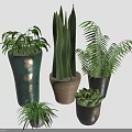 Indoor Potted Plants With Tall Green Leaves Fern And Succulent In Various Colored Ceramic Pots