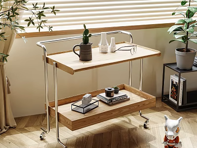 Wooden Side Table with Two-Tier Shelves Rolling Casters Indoor Living Room Decorative Plants And Items 3d model