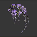Hanging Pink And Purple Flowers With Long Trailing Blooms On Dark Background