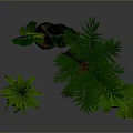 Healthy Green Indoor Plants in Black Pots on Gray Background