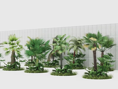 Tree Planters with Various Palm Trees and Green Plants in Front of Textured Wall 3d model