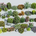Various Types of Garden Shrubs with Colorful Flowers Green Foliage and Decorative Stones
