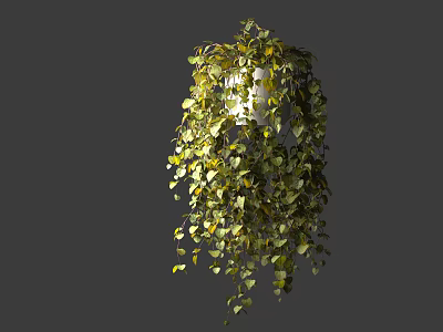 Vibrant Lush Green Hanging Basket Plants With Trailing Leaves For Indoor Decor 3d model