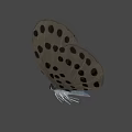 White Winged Black Spotted Butterfly Game Movie Character Design