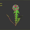 Vibrant Dandelion with Green Leaves and White Fluffy Seed Head on Dark Background with Reflection