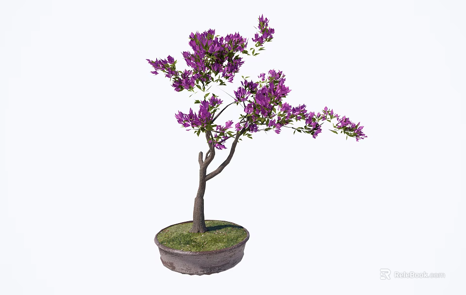 Bonsai Plant With Purple Flowers And Brown Trunk In Round Pot With Green Grass 3d model 