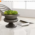Decorative Black Potted Bonsai With Green Moss On Indoor Table And Books