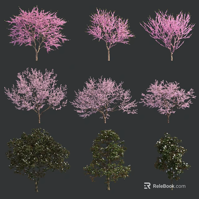 Different Types Of Flowering And Evergreen Trees With Pink Blossoms And Green Foliage 3d model 