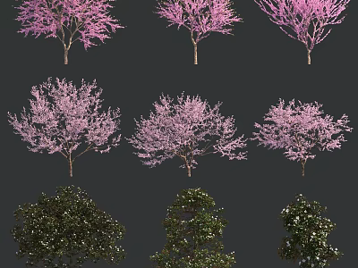 Different Types Of Flowering And Evergreen Trees With Pink Blossoms And Green Foliage 3d model