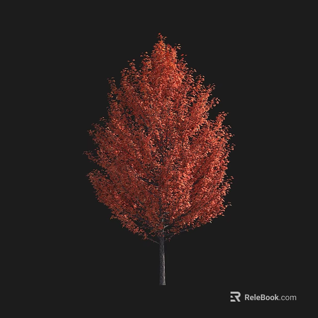 Beautiful Vibrant Autumn Arbor With Red Foliage Isolated On Black Background 3d model 